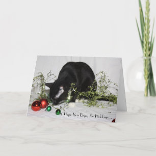 Cartes Pour Fêtes Annuelles Chat de tresse