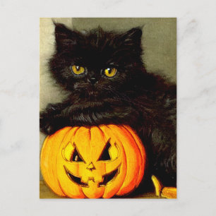 Cartes Pour Fêtes Annuelles Chat d'Halloween vintage et lanterne Jack-o’