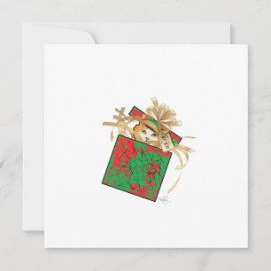 Cartes Pour Fêtes Annuelles Chat d'orange - Surprix cadeau de Noël