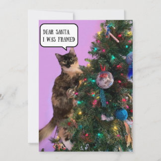 Cartes Pour Fêtes Annuelles Chat drôle dans le pétrin avec Santa Noël