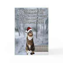 Chat drôle de Noël