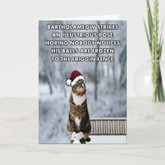 Cartes Pour Fêtes Annuelles Chat drôle de Noël