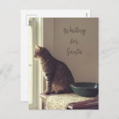Cartes Pour Fêtes Annuelles Chat En Attente De Père Noël (Devant / Derrière)