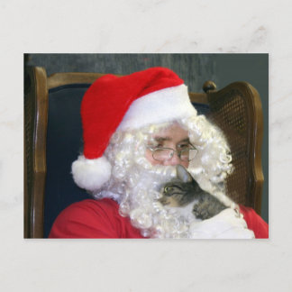 Cartes Pour Fêtes Annuelles Chat et Père Noël