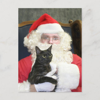 Cartes Pour Fêtes Annuelles Chat et Père Noël
