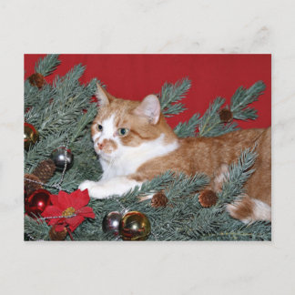 Cartes Pour Fêtes Annuelles Chat et sapin de Noël