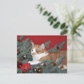 Cartes Pour Fêtes Annuelles Chat et sapin de Noël (Debout devant)