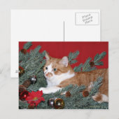 Cartes Pour Fêtes Annuelles Chat et sapin de Noël (Devant / Derrière)