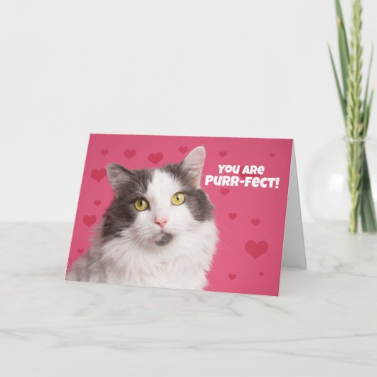 Cartes Pour Fêtes Annuelles Chat Heureuse Sainte-Valentin mignon avec coeur (Devant)