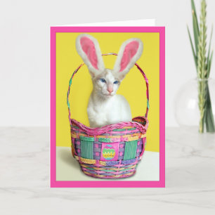 Cartes Pour Fêtes Annuelles Chat heureux de lapin de Pâques