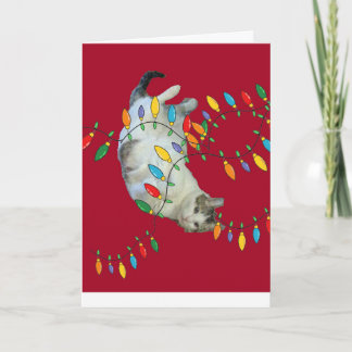 Cartes Pour Fêtes Annuelles Chat heureux, Noël