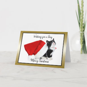 Cartes Pour Fêtes Annuelles Chat Kitten Noël Ayez un Noël Meowy