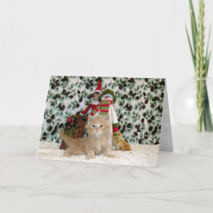 Cartes Pour Fêtes Annuelles Chat, Kitten, Noël, Secourt, Photo