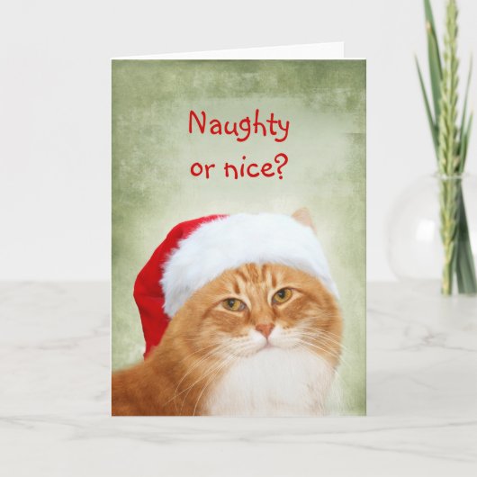 Cartes Pour Fêtes Annuelles Chat le père noël (Devant)
