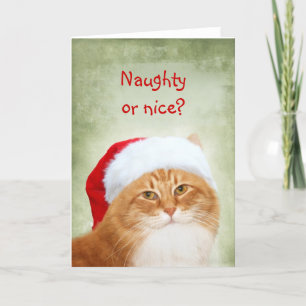 Cartes Pour Fêtes Annuelles Chat le père noël