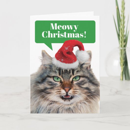 Cartes Pour Fêtes Annuelles Chat Maine Coon - Joyeux Noël et Bonne Année Miaou (Devant)