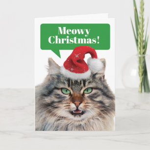 Cartes Pour Fêtes Annuelles Chat Maine Coon - Joyeux Noël et Bonne Année Miaou