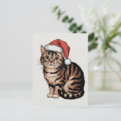 Cartes Pour Fêtes Annuelles Chat mignon avec casquette de noël (Debout devant)