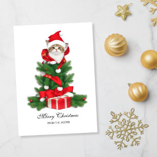 Cartes Pour Fêtes Annuelles Chat mignon en chapeau rouge Noël personnalisé