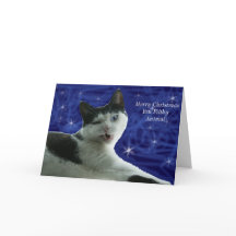 Chat Noël animal sale