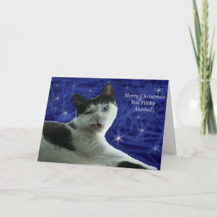 Cartes Pour Fêtes Annuelles Chat Noël animal sale