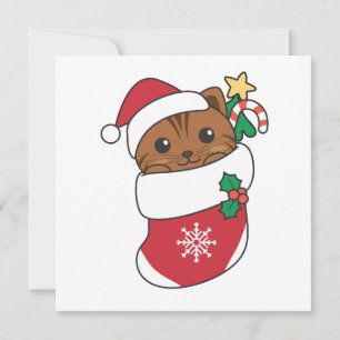 Cartes Pour Fêtes Annuelles Chat Noël Neige Hiver Animaux Chats Fête Voiture
