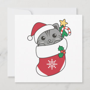 Cartes Pour Fêtes Annuelles Chat Noël Neige hiver Animaux Chats Voiture de vac