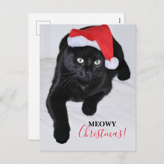 Cartes Pour Fêtes Annuelles Chat noir avec chapeau de Père Noël Rouge (Devant / Derrière)