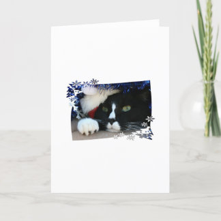 Cartes Pour Fêtes Annuelles Chat noir et blanc, chapeau santa, tinsel et patte