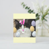 Cartes Pour Fêtes Annuelles Chat noir et blanc de l'Est (Debout devant)