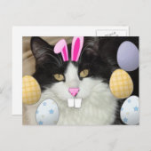 Cartes Pour Fêtes Annuelles Chat noir et blanc de l'Est (Devant / Derrière)