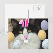 Cartes Pour Fêtes Annuelles Chat noir et blanc de Pâques (Devant / Derrière)