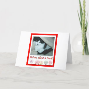 Cartes Pour Fêtes Annuelles Chat noir et blanc Valentine
