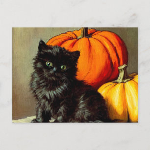 Cartes Pour Fêtes Annuelles Chat noir vintage d'Halloween et Citrouilles