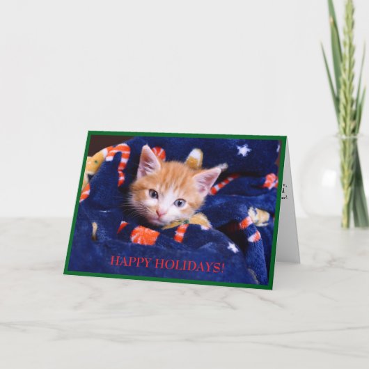 Cartes Pour Fêtes Annuelles Chat orange couverture bleue (Devant)