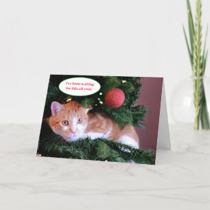 Cartes Pour Fêtes Annuelles Chat orange drôle rouge dans un sapin de Noël