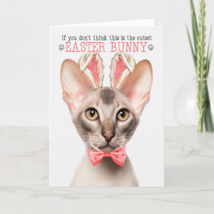 Cartes Pour Fêtes Annuelles Chat Oriental Cutest Bunny Bunny Kitty Puns