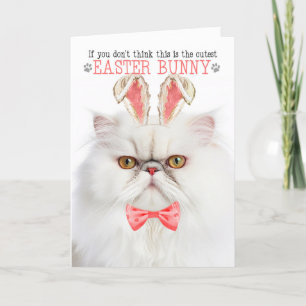 Cartes Pour Fêtes Annuelles Chat Peret Blanc Cutest Bunny Bunny Kitty Puns