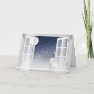 Cartes Pour Fêtes Annuelles Chat Persan à la fenêtre