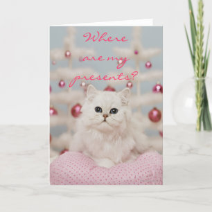 Cartes Pour Fêtes Annuelles Chat perse assis sur un coussin rose