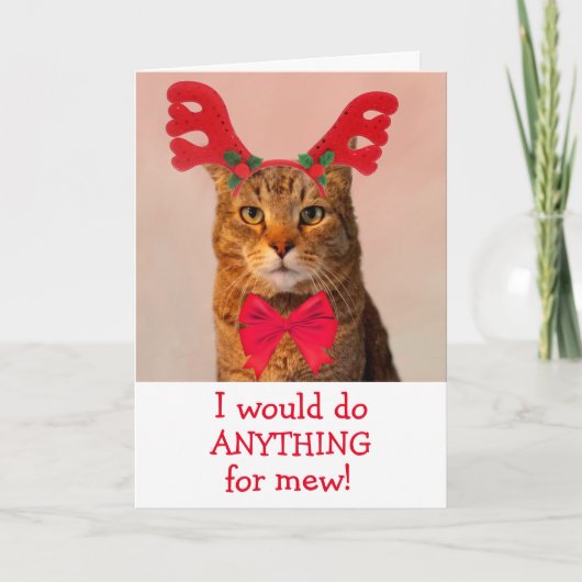 Cartes Pour Fêtes Annuelles Chat Reindeer dans l'amour Noël (Devant)