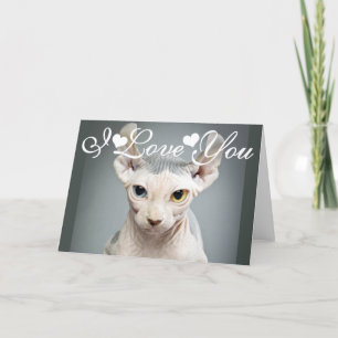 Cartes Pour Fêtes Annuelles Chat Sphinx Elf Photo Image Je T'aime