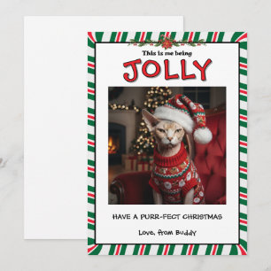 Cartes Pour Fêtes Annuelles Chat Sphynx Grincheux Drôle en Pull sur Mesure
