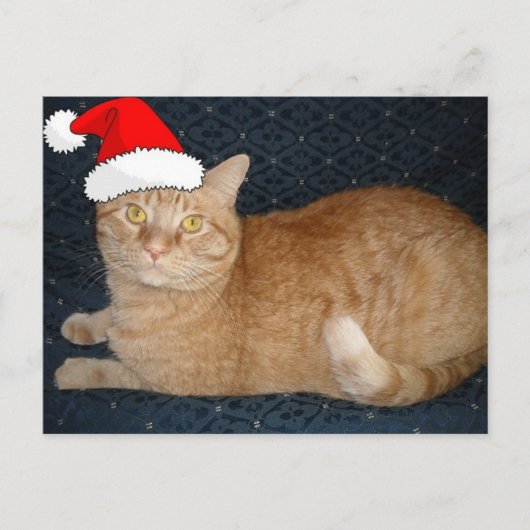 Cartes Pour Fêtes Annuelles Chat Tabby Orange de Noël (Devant)