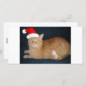 Cartes Pour Fêtes Annuelles Chat Tabby Orange de Noël (Devant / Derrière)