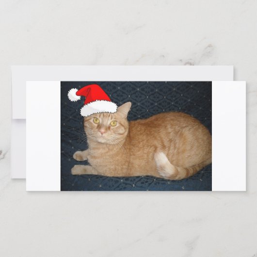 Cartes Pour Fêtes Annuelles Chat Tabby Orange de Noël (Devant)