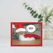 Cartes Pour Fêtes Annuelles Chat Tabby Orange de Noël (Debout devant)