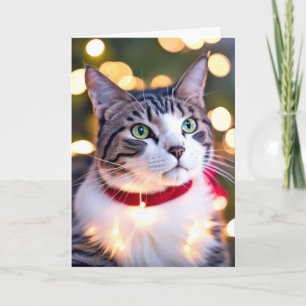 Cartes Pour Fêtes Annuelles Chat Tigré Dans Les Lumières De Fêtes