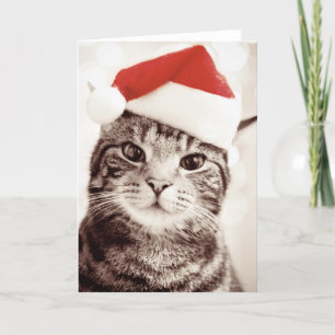 Cartes Pour Fêtes Annuelles Chat tigré domestique utilisant le casquette rouge
