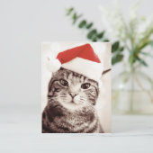 Cartes Pour Fêtes Annuelles Chat tigré domestique utilisant le casquette rouge (Debout devant)